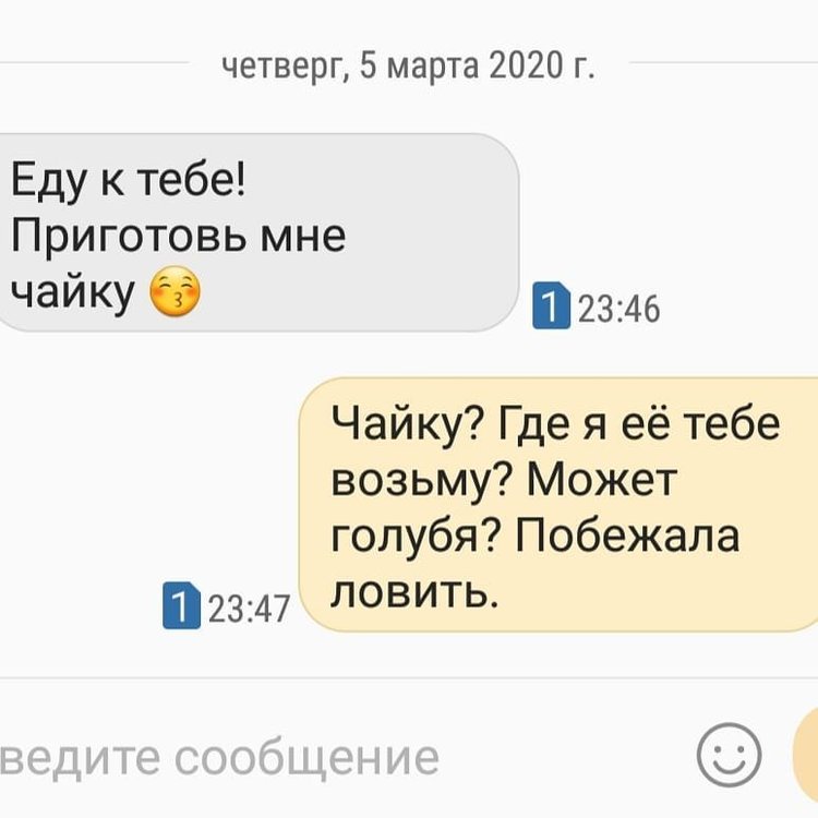 чайку или голубя 88131064_2883221718408757_7137843339344216064_n.jpg