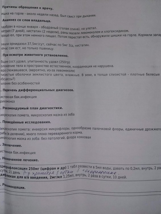 IMG_20200310_194203.jpg