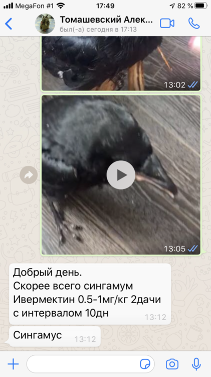 13EEE97C-0B5C-438F-88A5-4FEFBB70BB8C.png