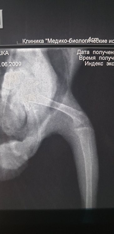 20200428_203045.jpg