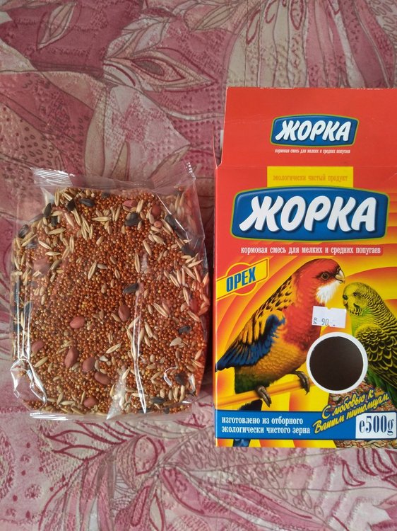 Жорка3.jpg