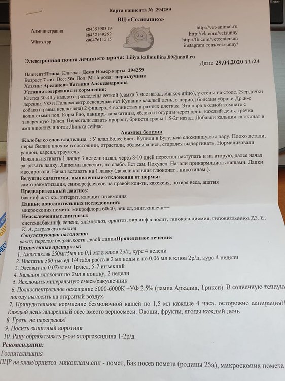 5e100164-e3b0-4684-9b41-2b574cdc62ca.jpg