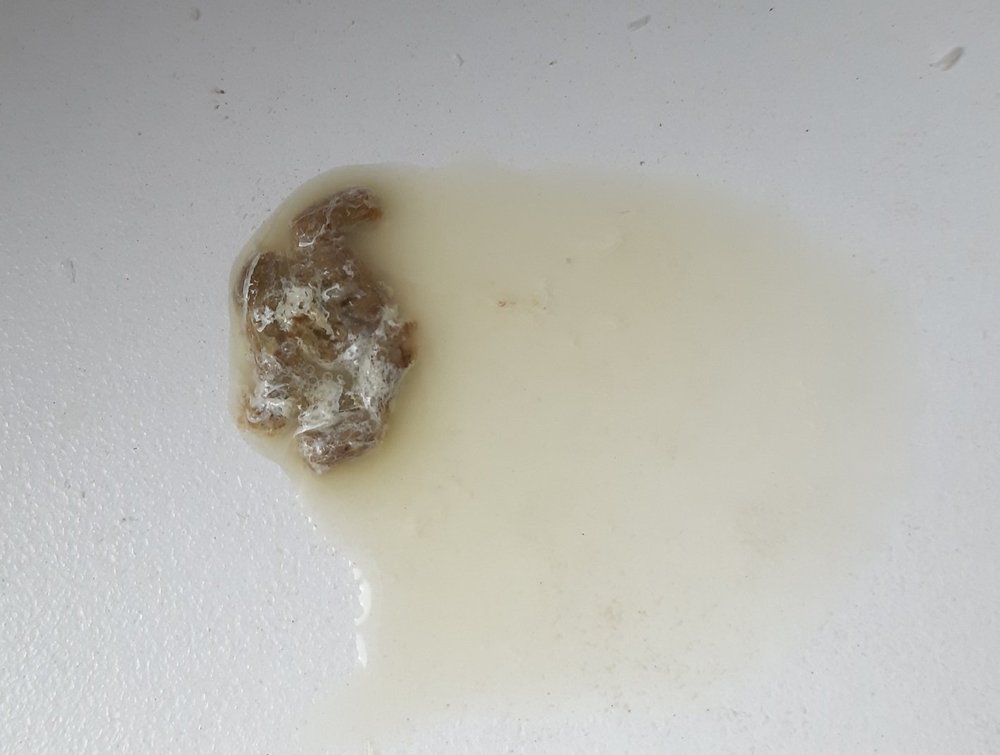 AxHHnI9CpDo.thumb.jpg.ce8b42848df2d407e0d7a9027de4c7d4.jpg