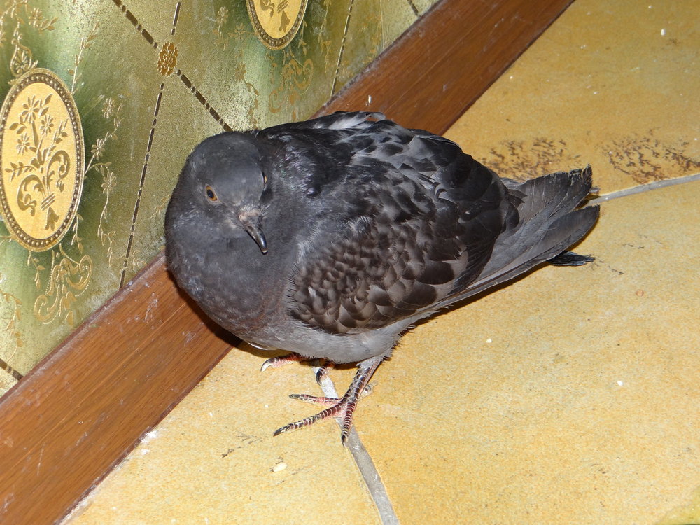 DSC03634.JPG