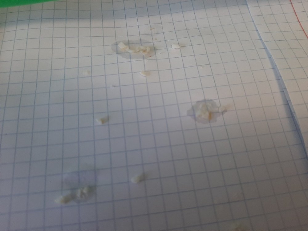 сепия.jpg