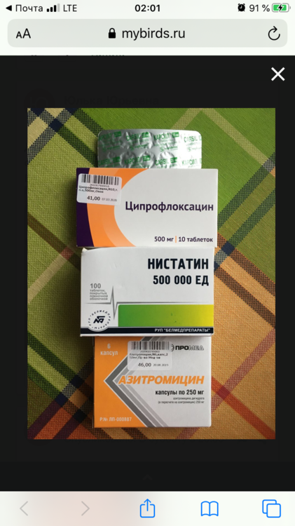 0AF41B08-CD4C-4AE7-B9CA-53BF17F76D5E.png