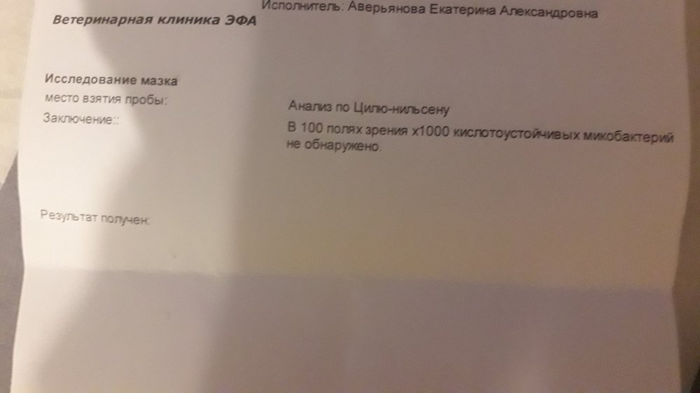15923299933091838650326194513560.jpg