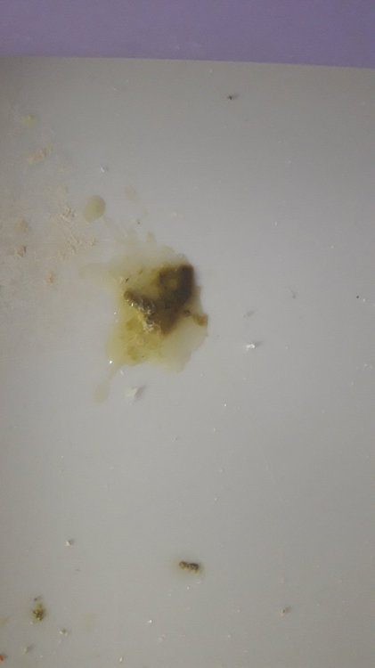 20200617_114434.jpg