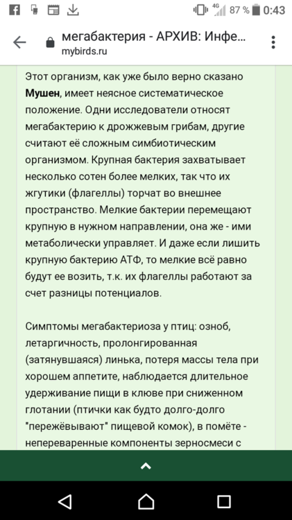 Screenshot_20200626-004325.png