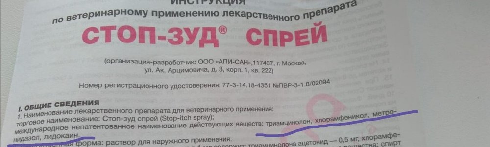 WhatsApp Image 2020-07-28 at 20.04.07.jpeg