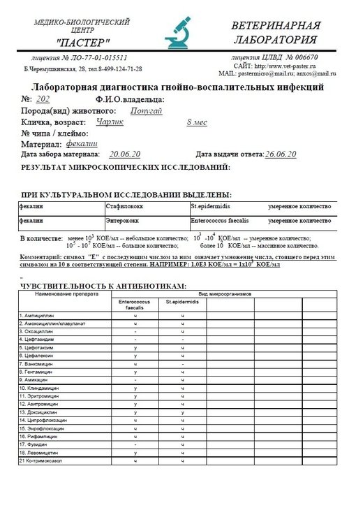 микроскопия1.jpg