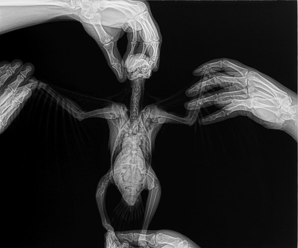 9999_00002714.thumb.jpg.ac285d10e389d92883a2b675c0ce4f9a.jpg