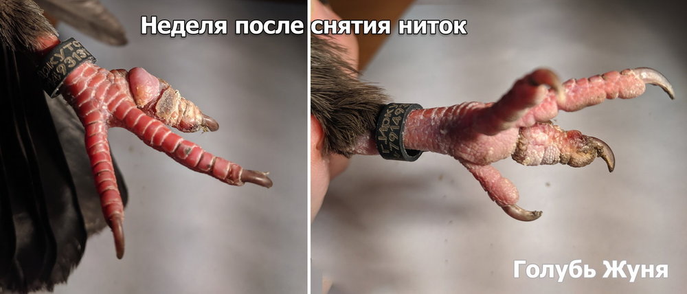 zun1.thumb.jpg.4cc1b1953c8a214c78ba326ceedf71ca.jpg