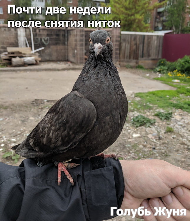 zun2.thumb.jpg.c1932a6ed08113662c91898d70fcc5be.jpg