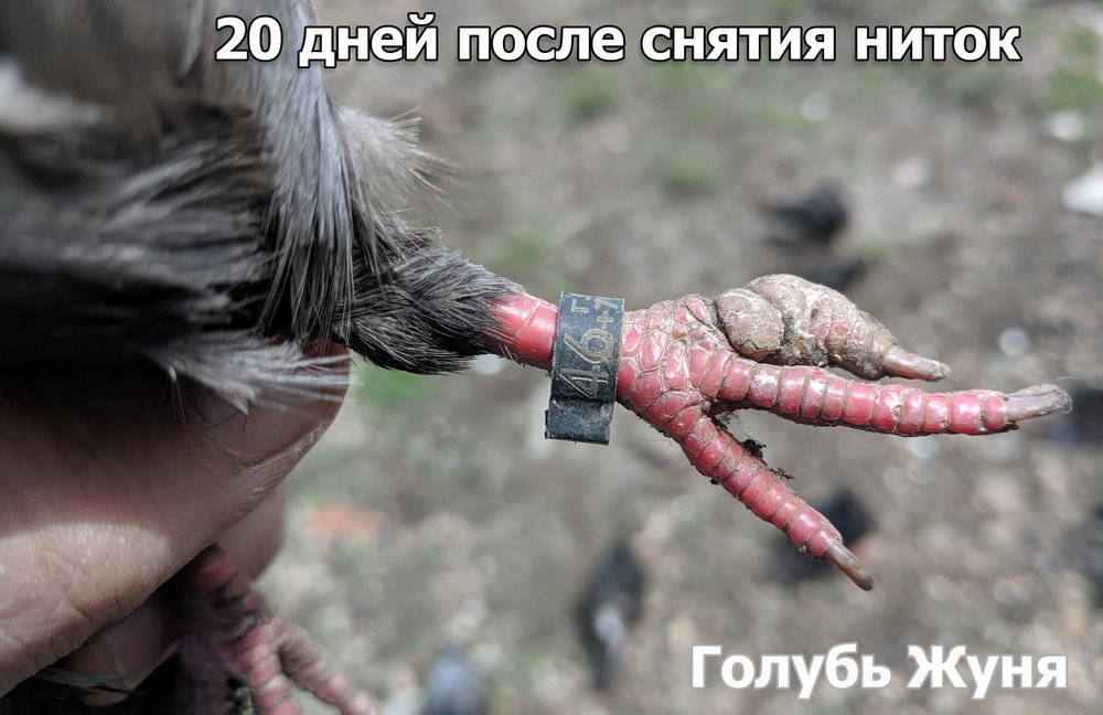 zun3.thumb.jpg.888c55b79023d33fd9b48b152f2b6d74.jpg