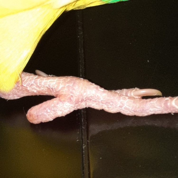 20200807_231204.jpg