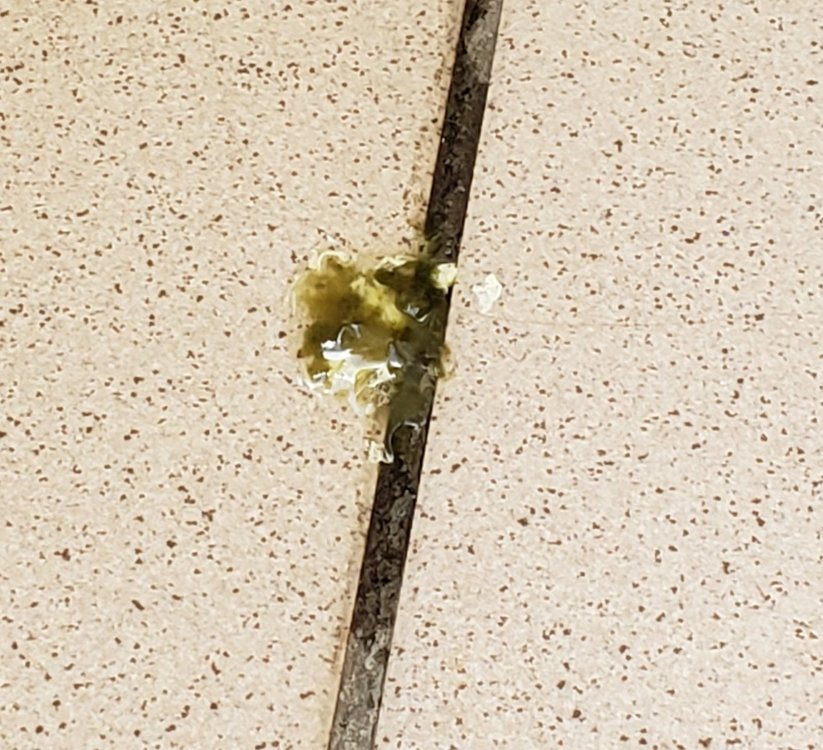 20200808_151519.jpg