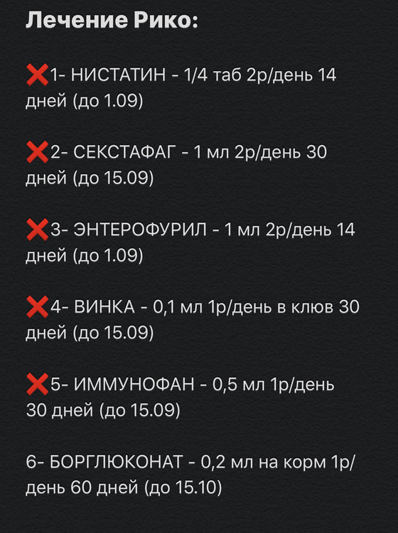 1E203BFC-5631-4D0F-9F65-B6B38E3E9028.jpeg