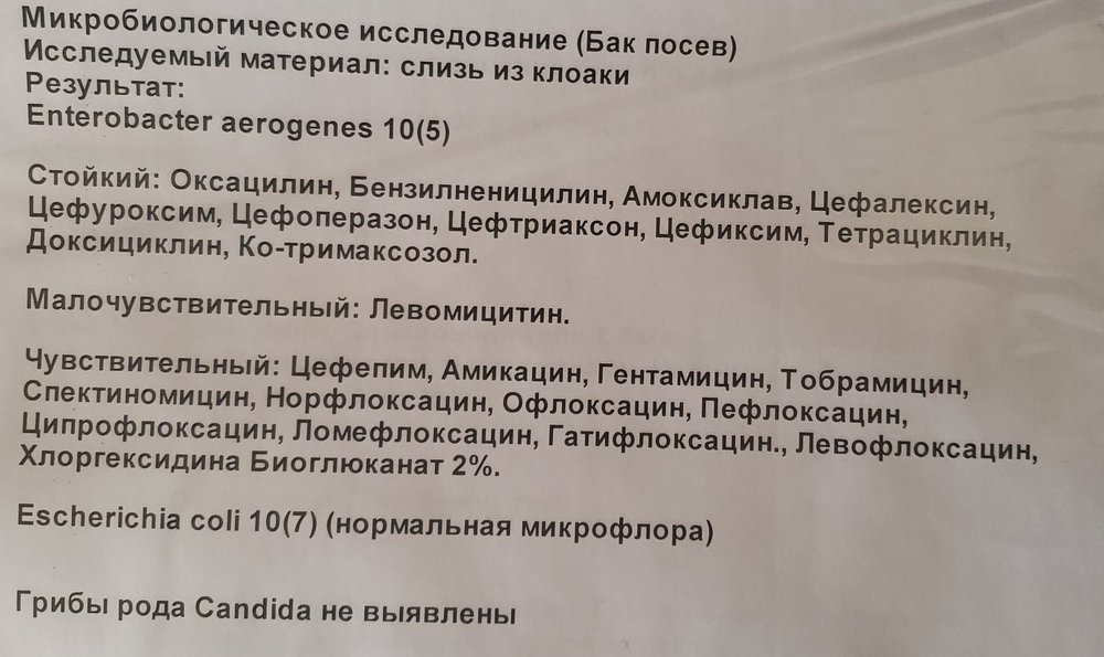 20200926_162947.jpg