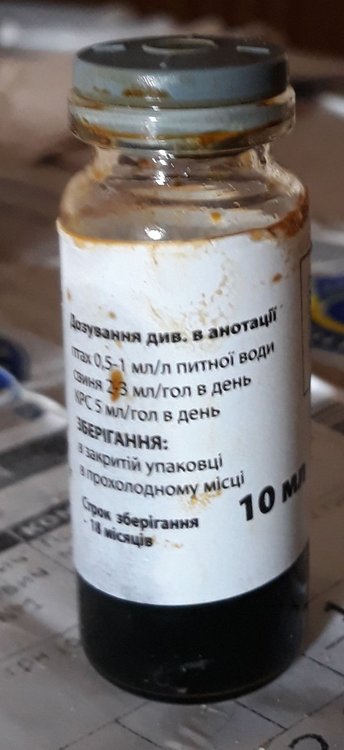 16.jpg