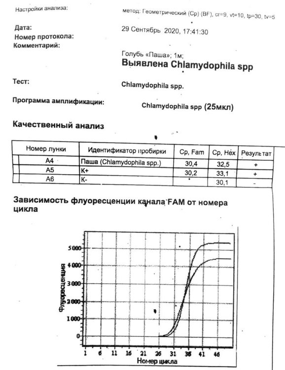 20201005_120147.jpg