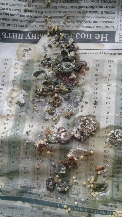 20201022_141020.jpg