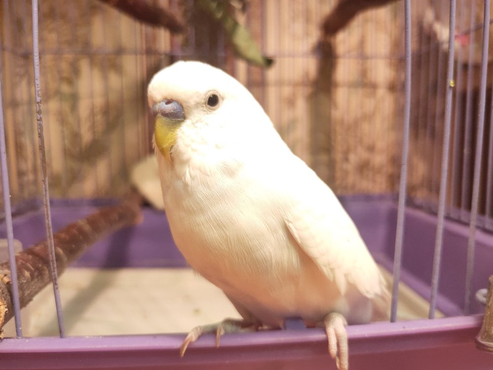IMG20201022180555.jpg