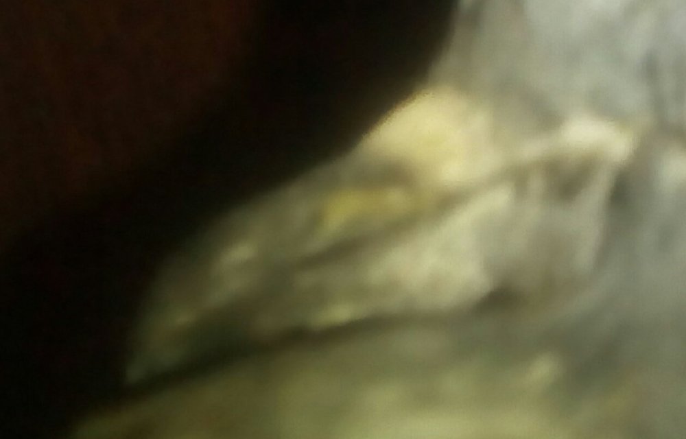 IMG_20201005_234219.jpg