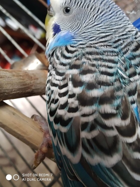 3F627734-8856-47AE-B8DA-D1812E0E6CDA.jpeg