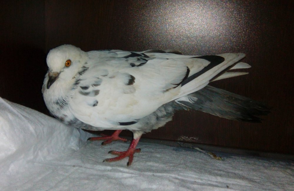 F-aNsP6BAzo.thumb.jpg.2e307b12079e9ee6a7fb56887f1a505c.jpg