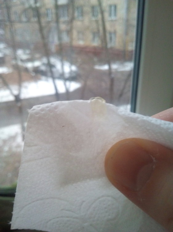 IMG_20201122_133139.jpg
