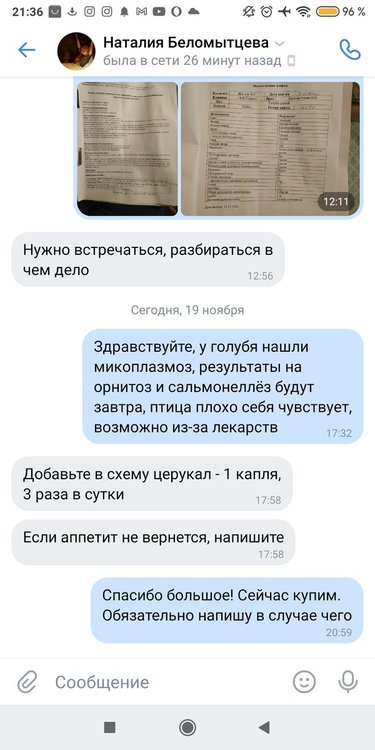 Screenshot_2020-11-19-21-36-42-715_com.vkontakte.android.jpg