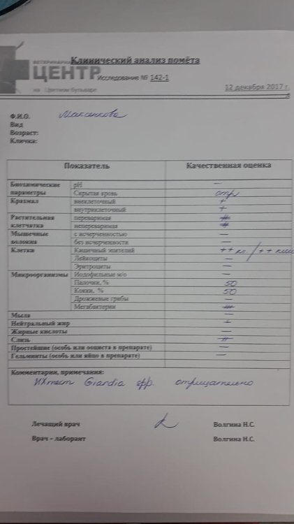 WhatsApp Image 2020-12-29 at 13.12.45.jpeg
