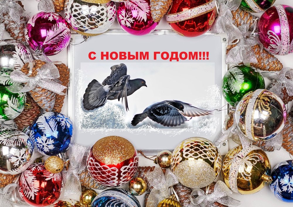 С НАСТУПАЮЩИМ.jpg