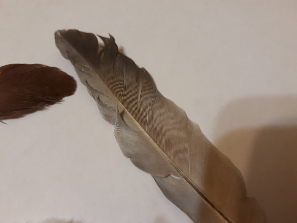 20201216_205344.jpg