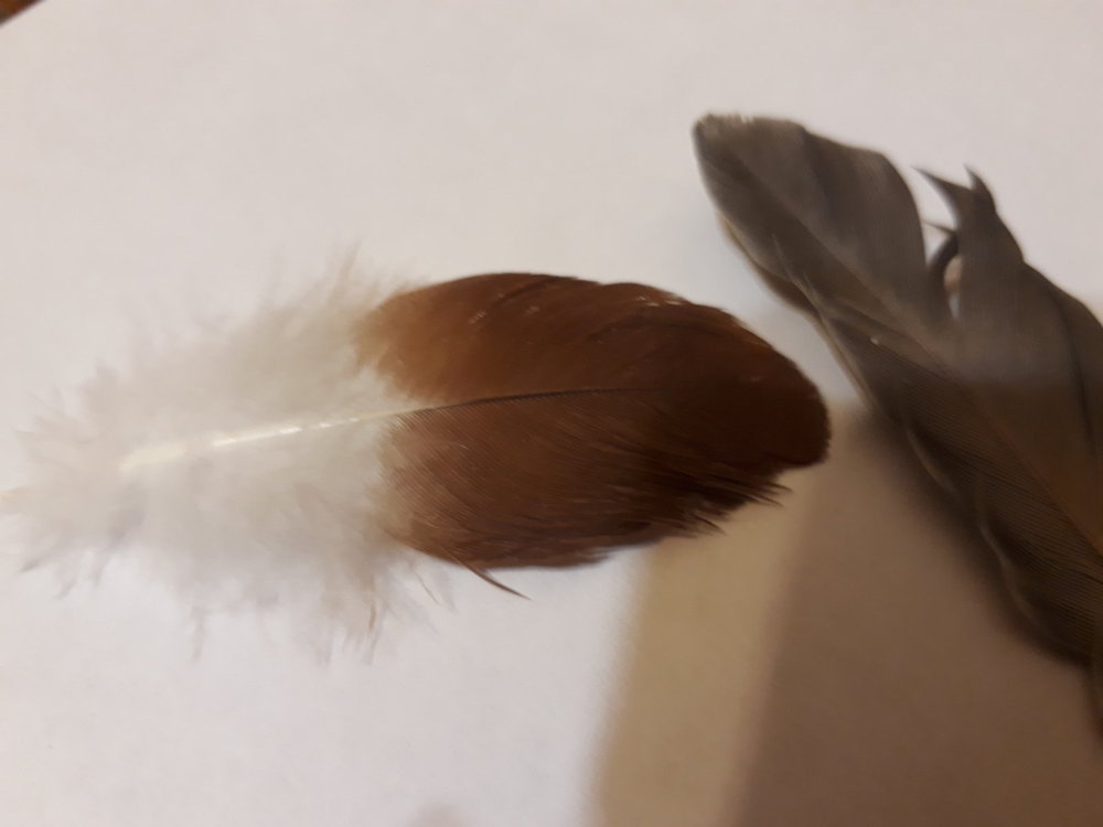 20201216_205351.jpg