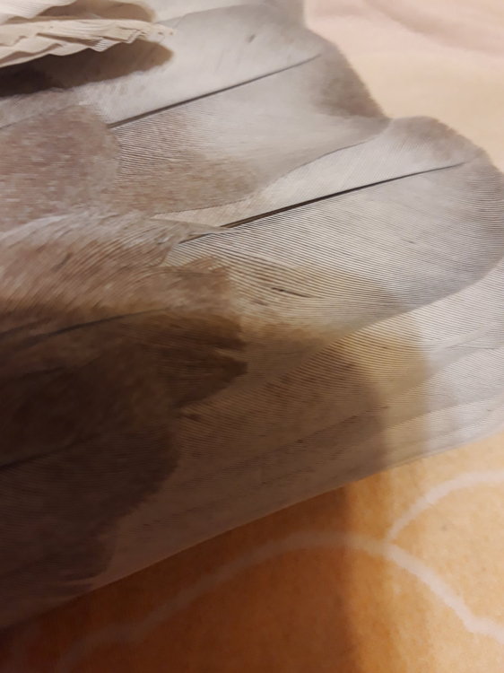 20201216_210543.jpg