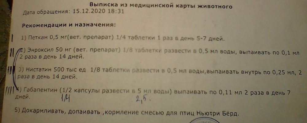 rq00jCpxv0M.jpg