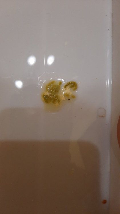 20210112_205333.jpg