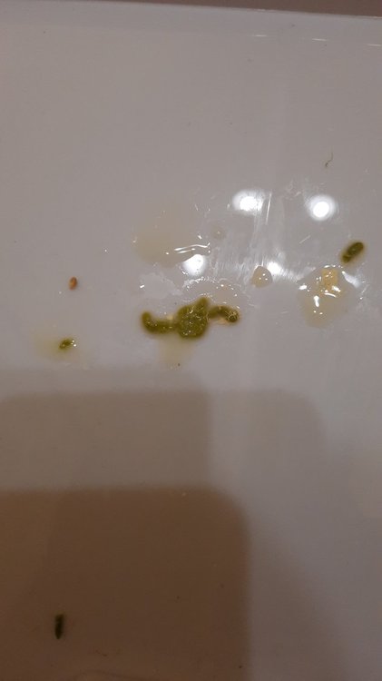 20210112_205340.jpg