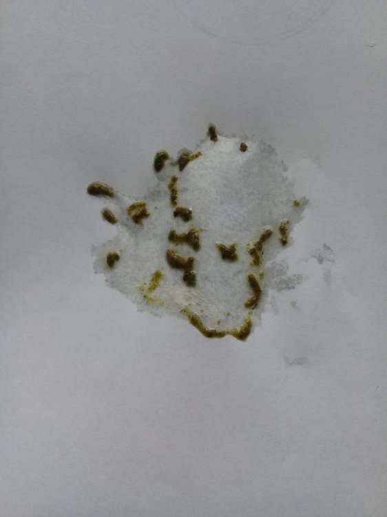 20210125_144022.jpg