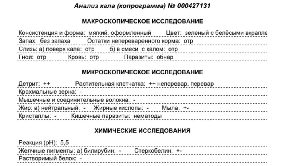 IMG_0027.jpeg