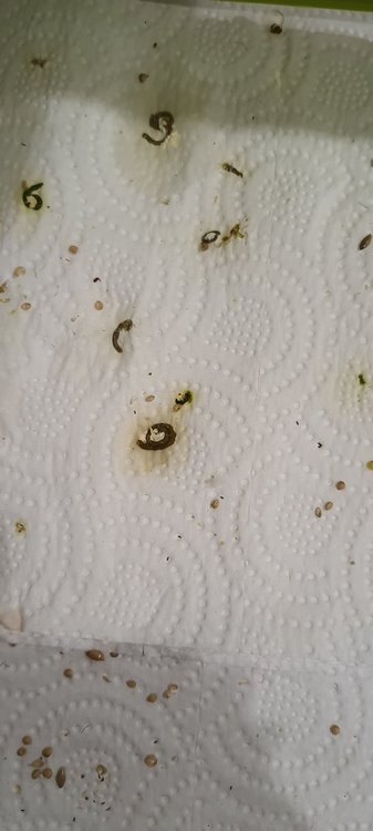 20210207_174059.jpg