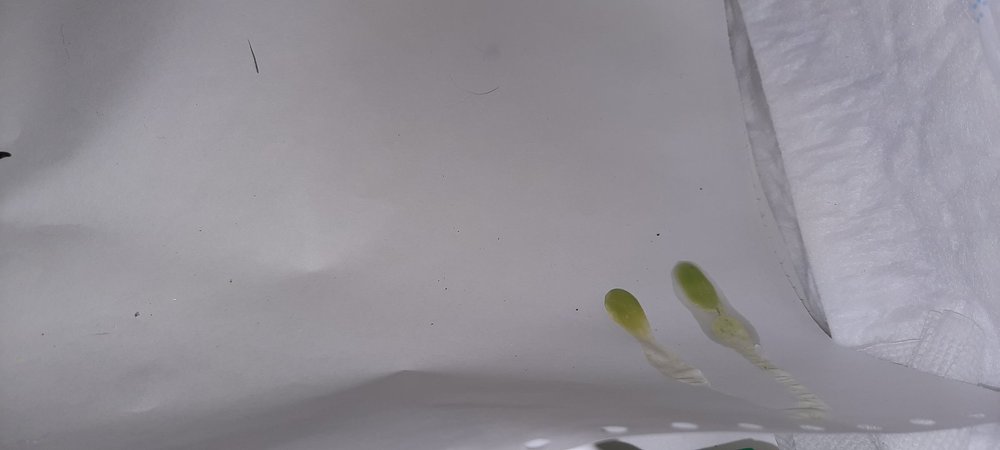 20210315_050840.jpg