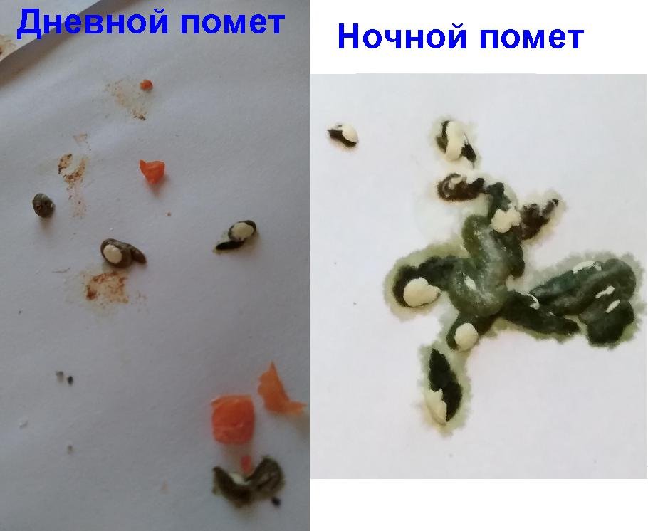 5.JPG.823c7b36575d8283829d44ed5ee86c17.JPG