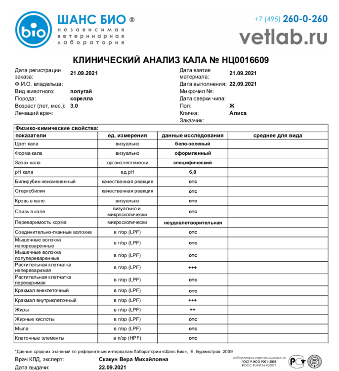 Снимок экрана в 2021-09-22 11-17-09.png