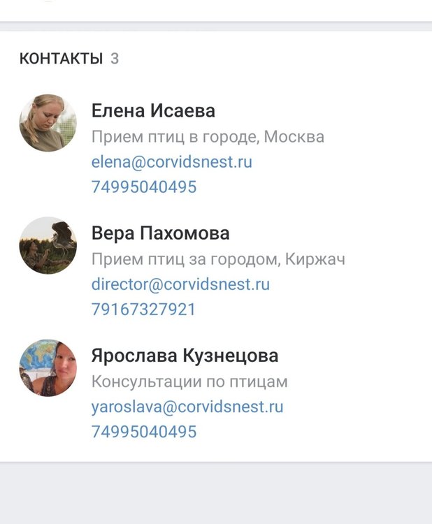 Screenshot_20210915-053906_VK.jpg