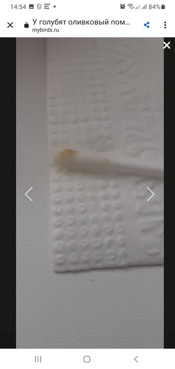 Screenshot_20211113-145454_Chrome.jpg