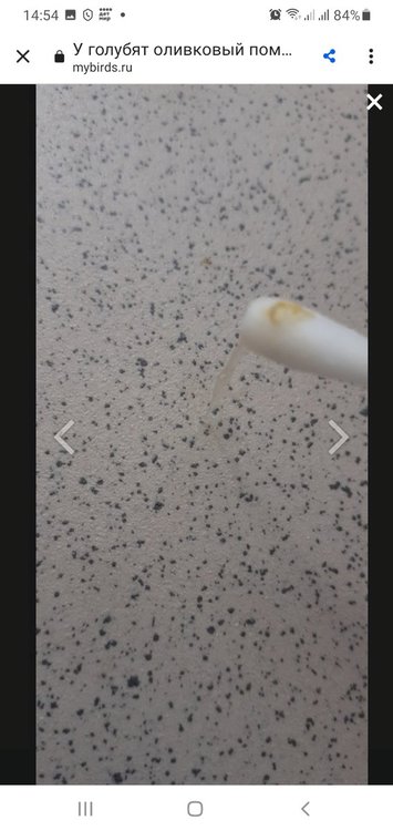 Screenshot_20211113-145500_Chrome.jpg