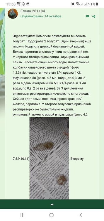 Screenshot_20211117-135801_Chrome.jpg